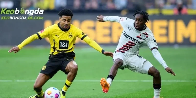 Giới thiệu thông tin về giải bóng đá vô địch Đức Bundesliga