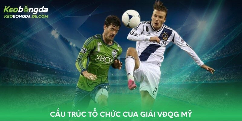 Cấu trúc tổ chức của giải VĐQG Mỹ