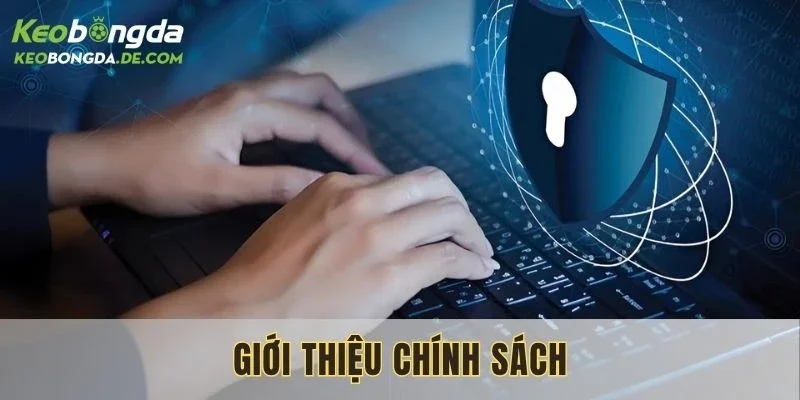 Chính sách riêng tư và Cookie đặc biệt cần thiết 