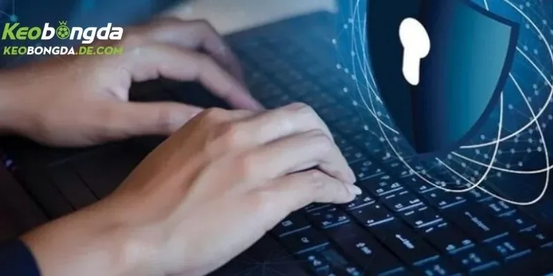 Lý do nhà cái xây dựng và công khai điều khoản sử dụng