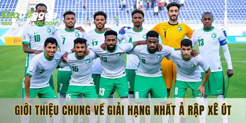 Khám phá tổng quan về sân cỏ ả rập xê út