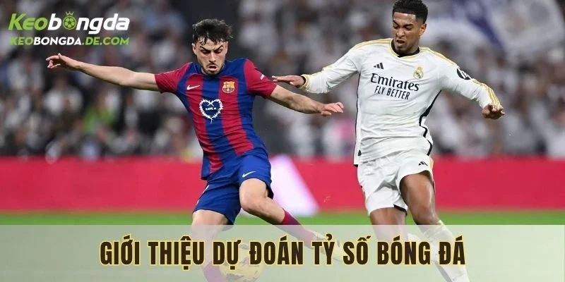 Giới thiệu sơ nét về dự đoán tỷ số bóng đá