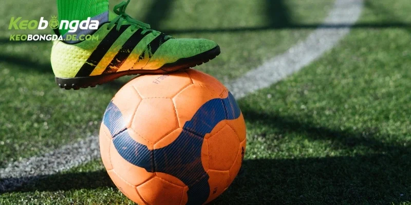 Uy tín từ 2012, tỷ lệ cược chuẩn, chuyên gia soi kèo