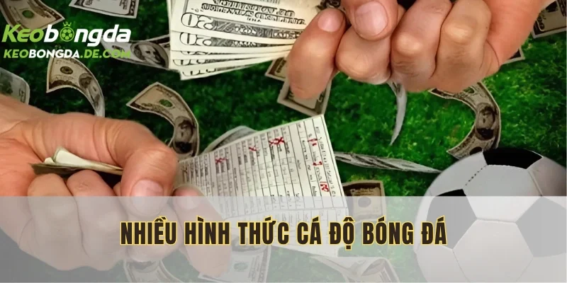 Hội viên tha hồ tham gia dạng cược phù hợp