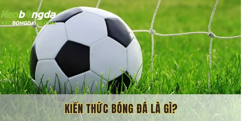 Kiến thức bóng đá bao gồm nhiều vấn đề cần thiết
