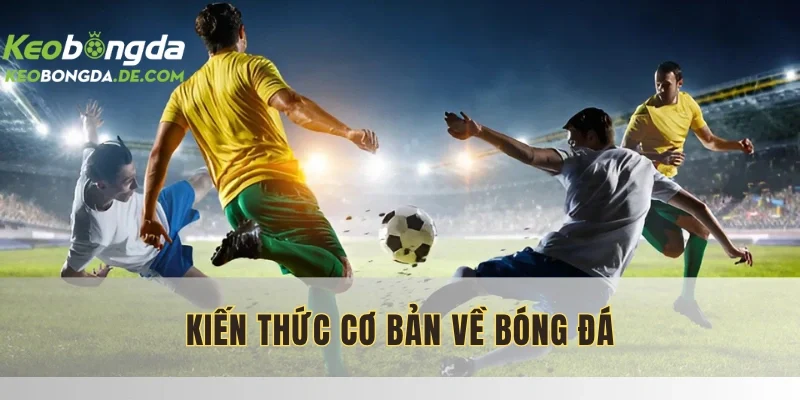 Kiến Thức Cơ Bản Về Bóng Đá Chi Tiết Cho Người Chơi Mới