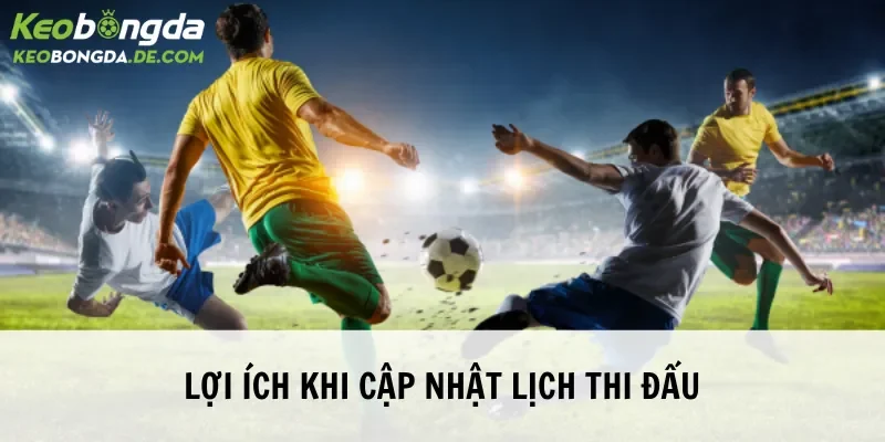 Hiểu rõ lợi ích đặc biệt khi tìm hiểu thông tin