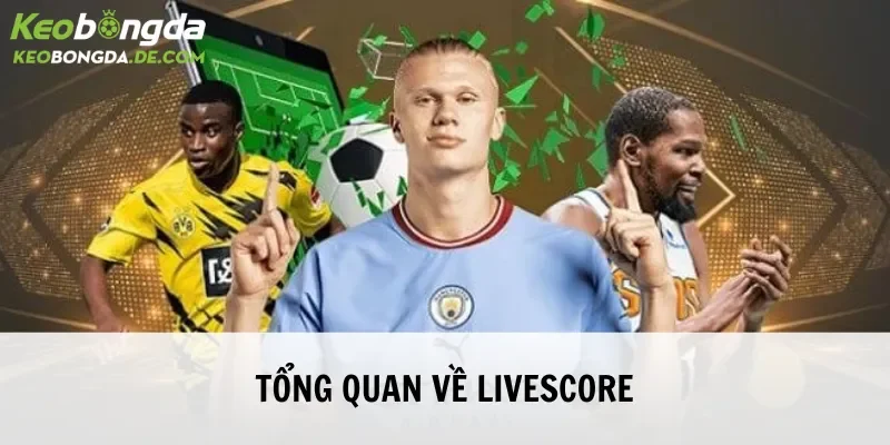 Livescore với thông tin tổng quan chung