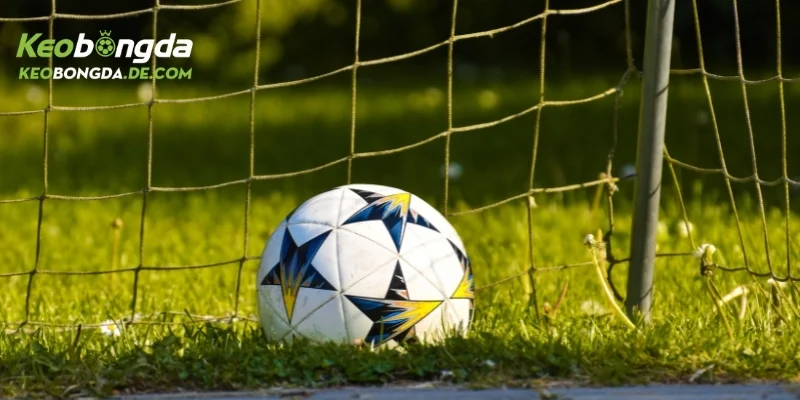 nhận định liverpool