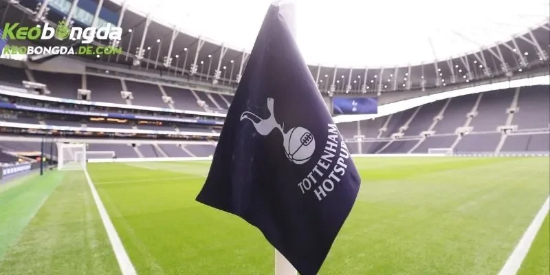 Nhận Định Tottenham – Đánh Giá Tiềm Năng Của Đội Bóng