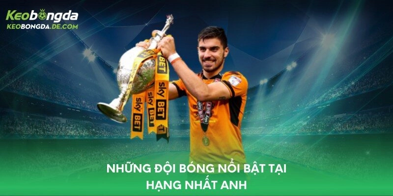 Những đội bóng nổi bật tại Hạng Nhất Anh