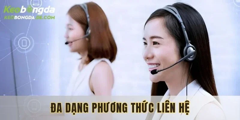 Những hình thức kết nối chính tại nền tảng