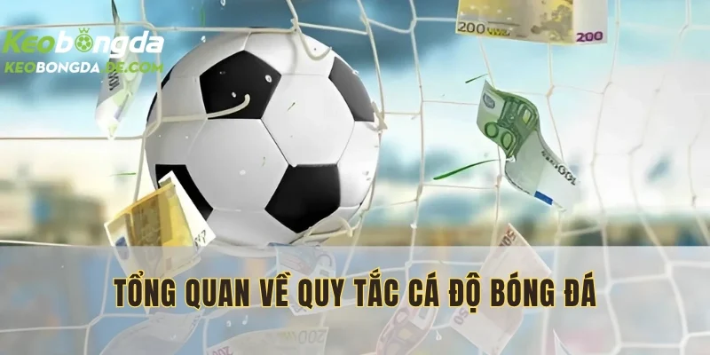 Quy tắc cá độ bóng đá do nhà cái đặt ra