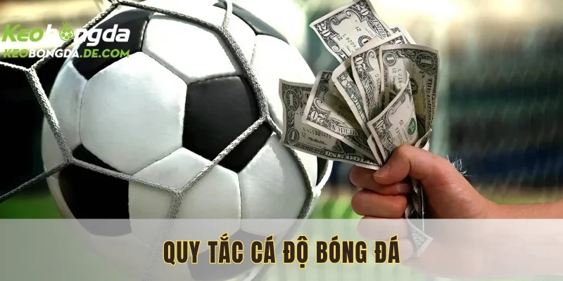 Quy Tắc Cá Độ Bóng Đá: Hiểu Đúng Để Cá Cược Khôn Ngoan