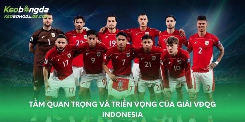 Tầm quan trọng và triển vọng của giải VĐQG Indonesia