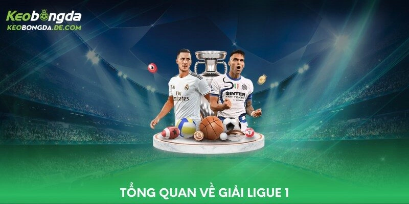 Tổng quan về giải Ligue 1