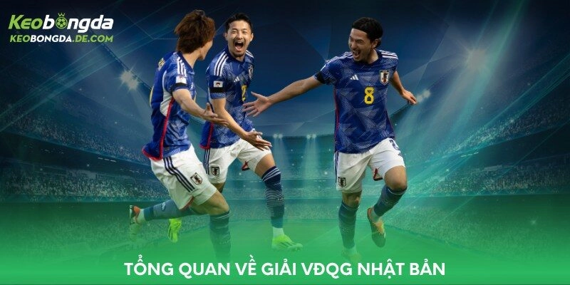 Tổng quan về giải VĐQG Nhật Bản