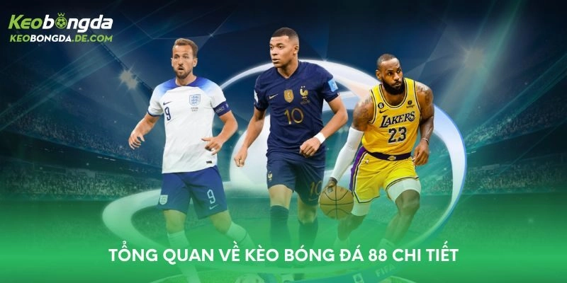 Tổng quan về kèo bóng đá 88 chi tiết