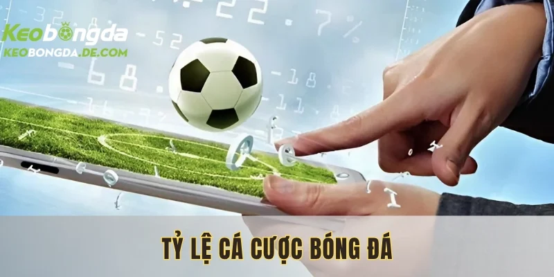 Tỷ Lệ Cá Cược Bóng Đá: Hướng Dẫn Cách Đọc Kèo Chuẩn Xác